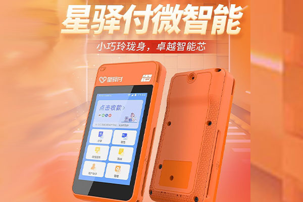 定南国通微电签POS机